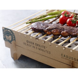 Disposable grill CASUSGRILL